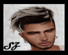SZ Greg Blond Silber