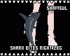 Shark Bites Right Leg