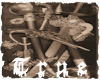 {TRUE} Pirate Pandemon 3