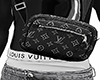 Bag LV Grey 2/2