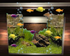 [CI] Fish Wall Tank