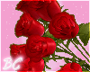 ♥Roses Derivable