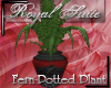 [DD]Royal Suite-Plant