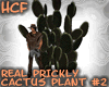 HCF Prickly Cactus Plant