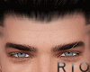 29. Head (RI0)