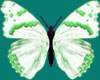 2 Anim&Deco. Butterflies