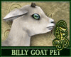Goats Bundle