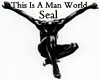 Seal This Is A Man World
