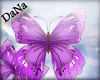 {D}Butterflies/4 M&F