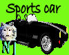 ~NJ~Sport Car