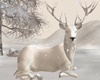 Winter White Deer Laying