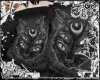𝓐. Katz Hoodie