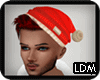 [LDM]Noel Hat Red