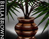 BB Plant Palm