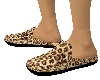 Male Slippers Leopard 