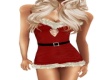 Mrs Clause Dress