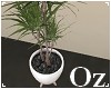 [Oz] - Plant modern