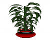 Gig-50's Pot Plant