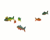 GM's animated fishes