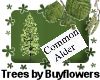 Common Alder Tree