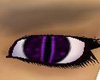 Purple Reptile Eyes