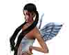 daisy wings