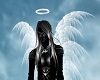 SL Dark Angel M Bundle