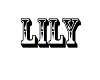 lily dj