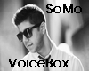 [GxD].SoMo Voice Box 1