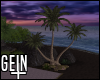 -G- Palm Trees