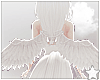 IlE wings - white