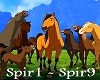 Spirit - Waar ik hoor