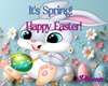 !PX POPPIN EASTER BUNNY