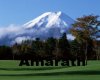 Amarath pillow1