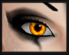 [SC]Orange Eyes