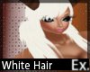 White Hair [F]