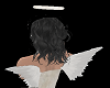 Beautiful angel wings
