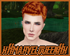 Ginger Warrior