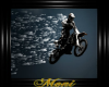Motocross Rider Canvas