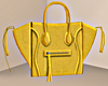 ♡ Display_Celine Bag