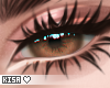 K|Soft - Brown Eyes F