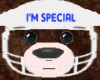 Secrets special bear