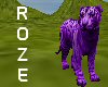 *R*Purple Tiger
