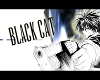 !Kk! Black Cat 02