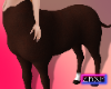 Emmy Centaur Brown