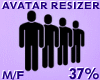 Avatar Resizer 37%