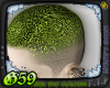 G* Algae