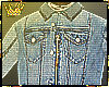 Denims Jacket