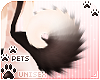 [Pets] Dei | tail v4