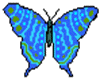 Animated Blue Butterfly